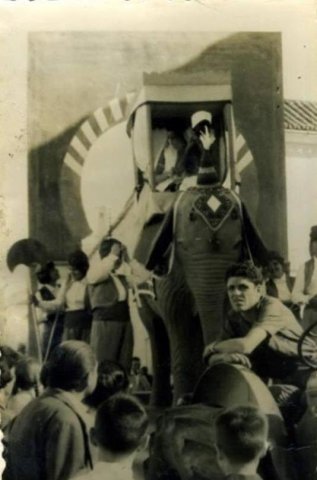Romería carroza (2)